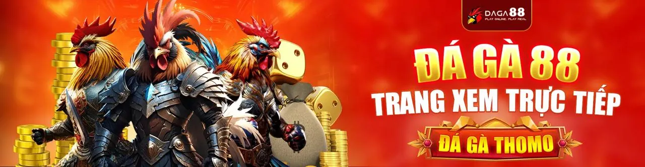 Đấu trường đá gà sôi động tại Ken88
